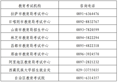 2024上半年西藏教资面试报名即将启动 关键时间与备考指南